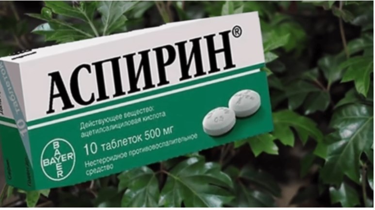 Аспирин помогает не только от головной боли и простуды! 3 примера, когда он «спасал» меня в домашних делах
