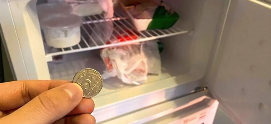 Кладу монету в морозильник всегда когда уезжаю из дома на несколько дней, чтобы проверять свежесть продуктов