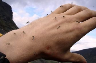 Прощайте летающие кровососы! Простой способ избавиться от комаров!