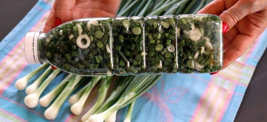 Сваха научила заготавливать зеленый лук на зиму особым способом, чтобы был словно свежий. Не сушу, не замораживаю