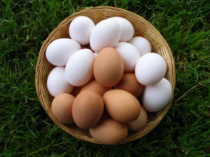 Вижу на глаз: какое из яиц снесла здоровая курица. Вот те раз!