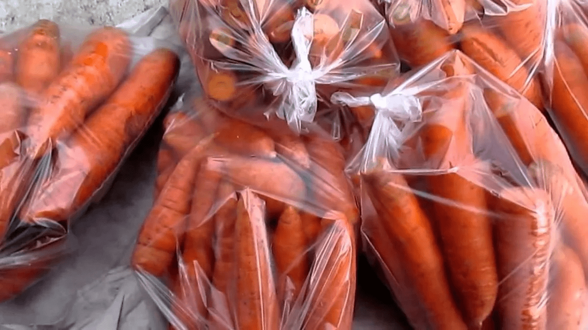 Храню морковь в банке весь зимний период, свежая всю зиму, делюсь опытом
